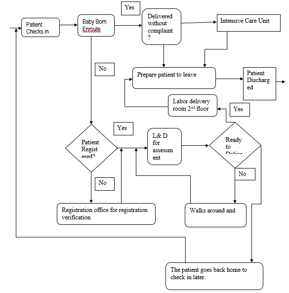 The Arnold Palmer Hospital's Process Flow Chart