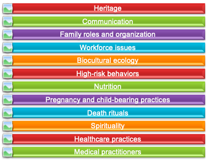 Purnell Model’s 12 domains