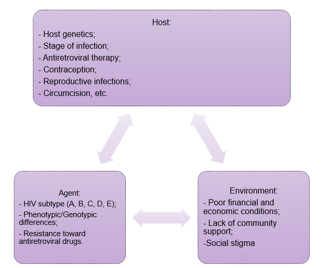 HIV: Epidemiological Triangle.