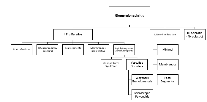 Glomerulonephritis