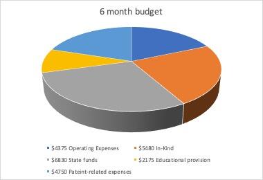 the specific budget of the program designed to last for six months.