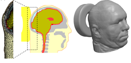 Mid-sagital Cross-section of the Head ModelÂ